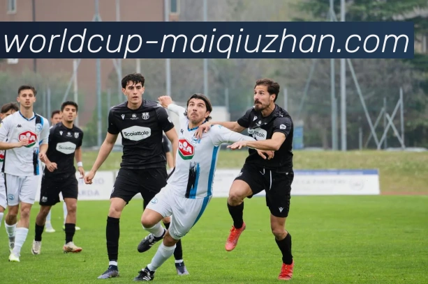 世界杯买球站平台生态图