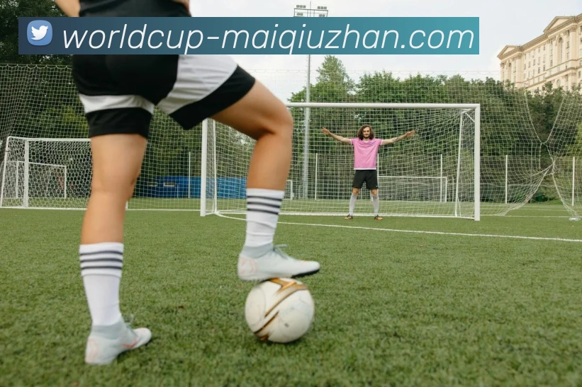 世界杯买球站APP 封面图